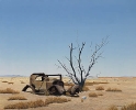 126 True West