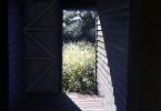 #145 'Breezeway'