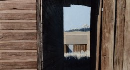 #279 Scene at Bodie
